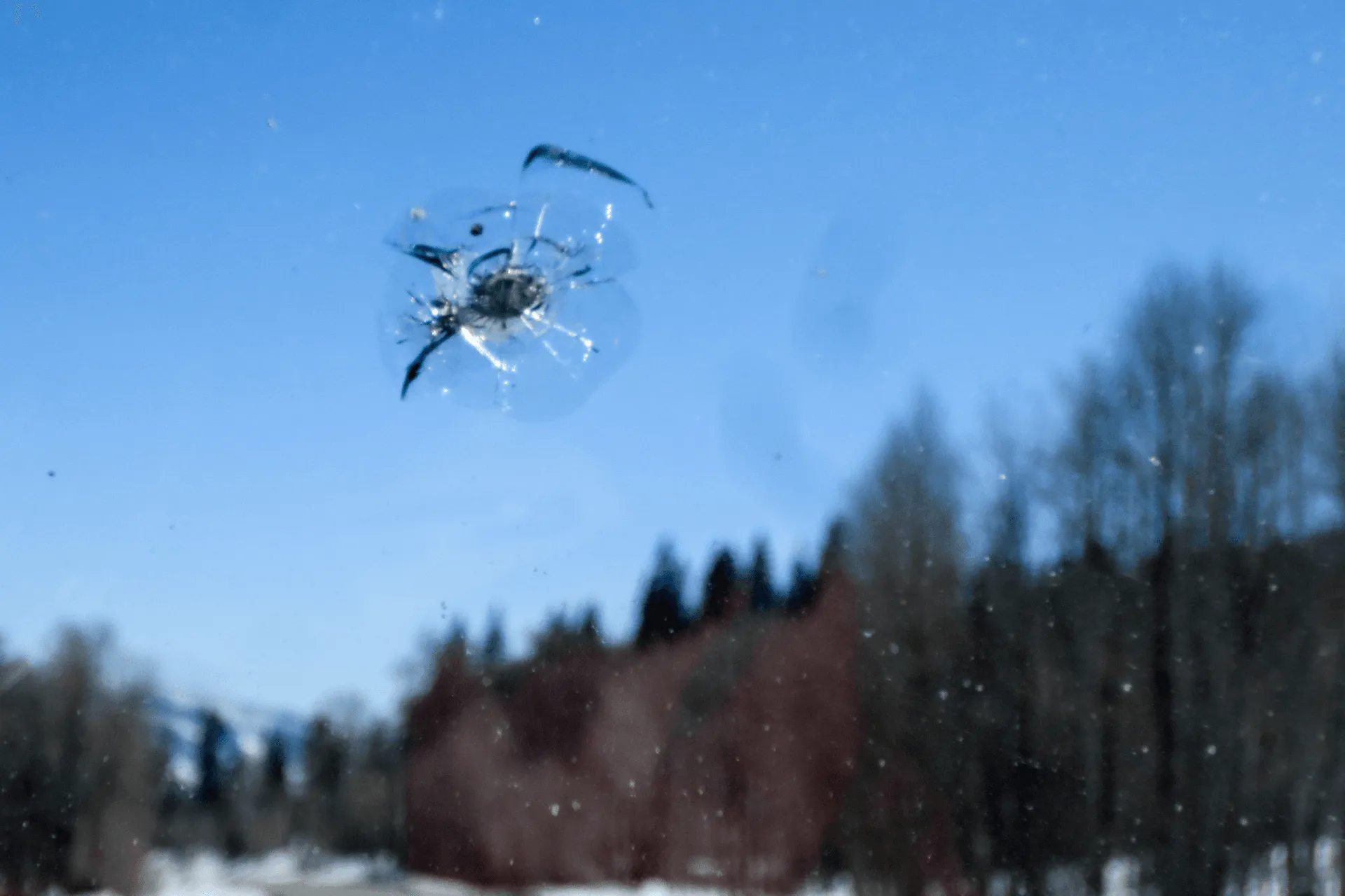 Chip in a windshield against a winter treeline
