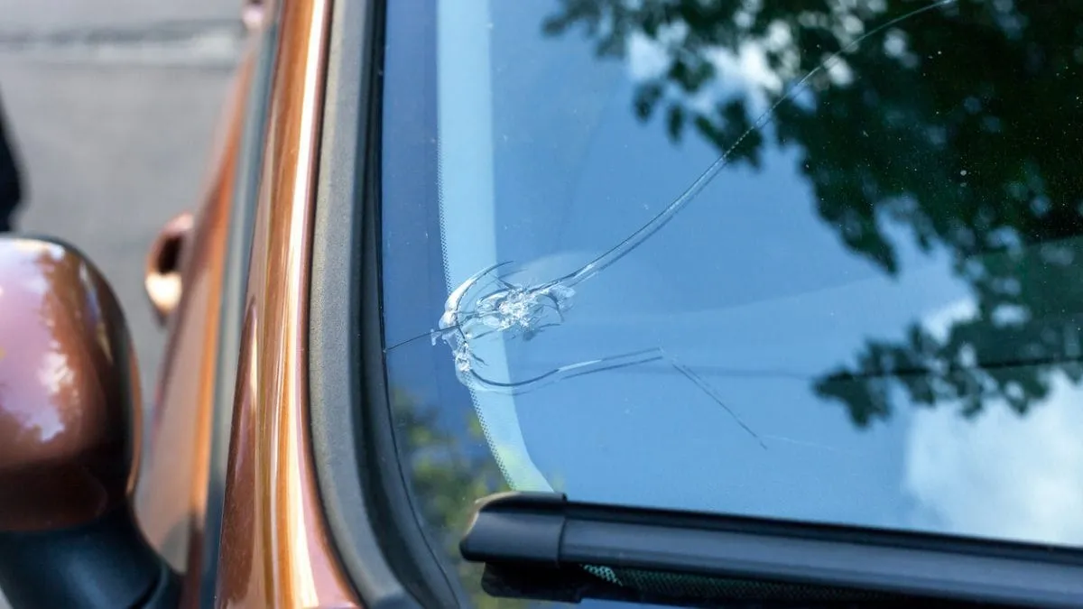 Close-up of a cracked chip in a windshield